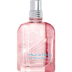 Fleurs de Cerisier Infusion Fruitée by L'Occitane en Provence
