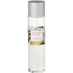 Les Secrets de Joséphine - Cologne von Lothantique