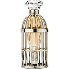 Caged von Lipsy