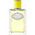 Infusion d'Ylang by Prada
