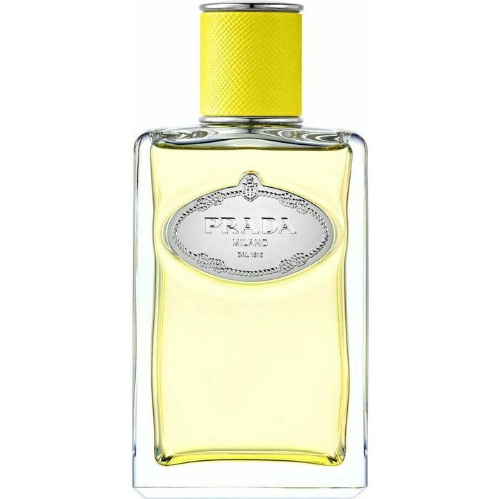 Infusion d'Ylang von Prada