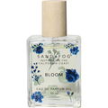 Bloom by Sand + Fog
