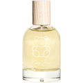 Coisy Bear by Coisy B.