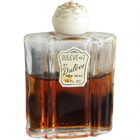 Duleve No.7 by Dulêve