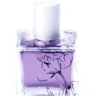 Sands of Morocco by Infusion Organique