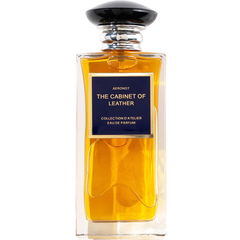 The Cabinet of Leather von Aeronot