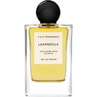 Lavandula by Fiele Fragrances