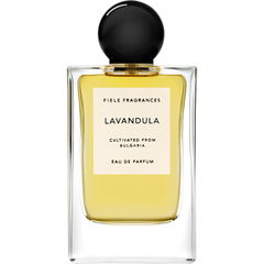 Lavandula by Fiele Fragrances