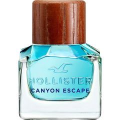 Canyon Escape for Him von Hollister