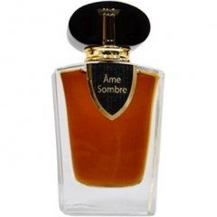 Ãme Sombre by Ame Sombre