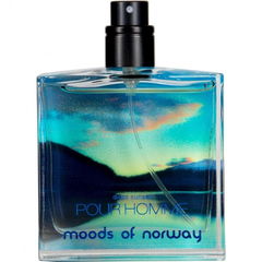 Disco Sunset pour Homme von Moods of Norway