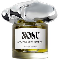 Been Trying To Meet You by Nosu