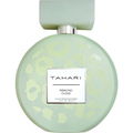 Pistachio Cloud von Elie Tahari