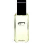 Quorum Silver (Eau de Toilette) von Puig
