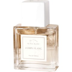 Jasmin Blanc von Nuage Blanc