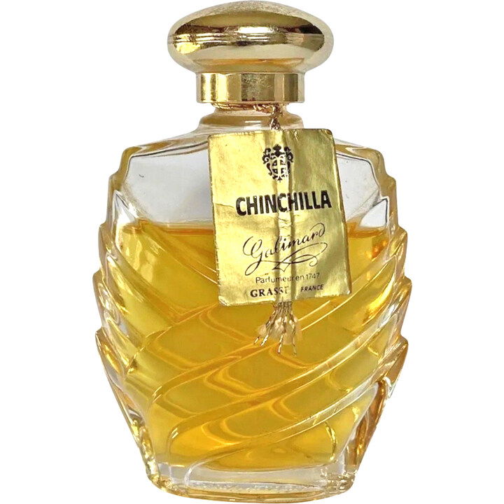 Chinchilla von Galimard