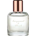 Bergamot & Blush by Soft Surroundings