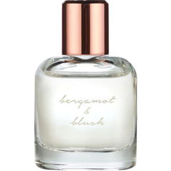 Bergamot & Blush by Soft Surroundings