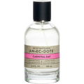 Carnival Day by Anecdote