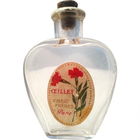 Œillet von Vibert Frères