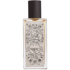 Gilded Labdanum by Sentire