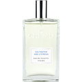 No° 25 Saltwater and Cypress von Cremo