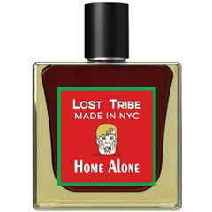 Home Alone by Lost Tribe
