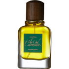 The Oud Caravan by Rasei Fort.