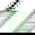 Elite Gentleman Untailored