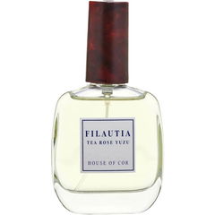 Filautia Tea Rose von House of Cor
