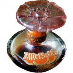 Narcissus von Maiton