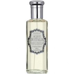 Papavero del Salento von Acque di Italia