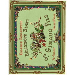 Héliotrope Blanc von Jn Giraud Fils