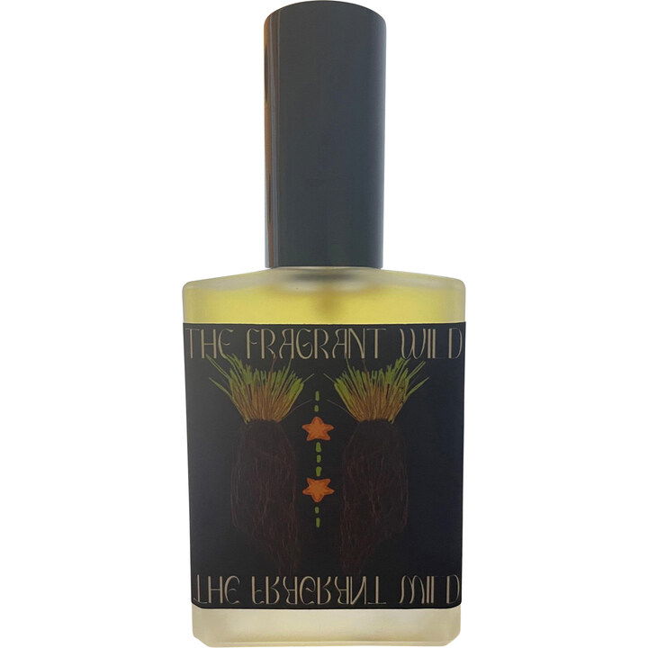 Rich Vetiver von Botica Botanica Rich Vetiver von Botica Botanica