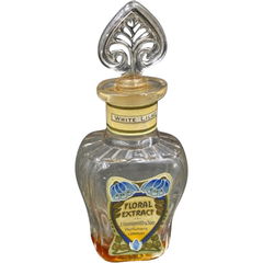 White Lilac von Grossmith