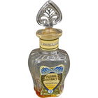 White Lilac by Grossmith