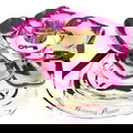 Blooming Passion by Penthouse