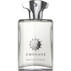 Reflection Man by Amouage