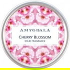 Cherry Blossom by Amygdala