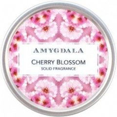 Cherry Blossom by Amygdala