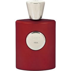 Teia by Giardino Benessere