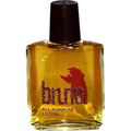 Bruno von Stanley Home Products