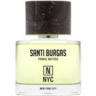 Primal Waters - NYC: New York City by Santi Burgas