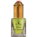 Flower of Jasmin von El Nabil