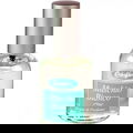Muschio Bianco von Erbaflor