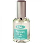 Muschio Bianco by Erbaflor