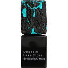 DuSable Lake Shore by Gabriel O'Hara