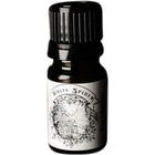 White Spider by Amorphous