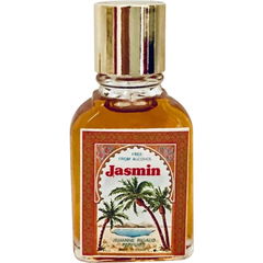 Jasmin by Jehanne Rigaud