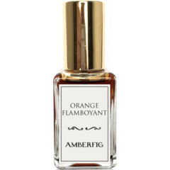 Orange Flamboyant von Amberfig